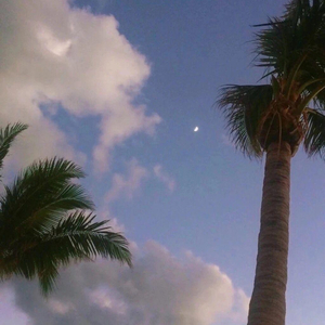 啊cao爆我～cao烂我~男男
