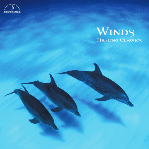 啊cao爆我～cao烂我~男男
